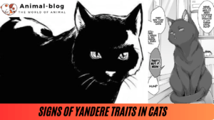 Signs of Yandere Traits in Cats