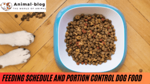Feeding Schedule and Portion Control