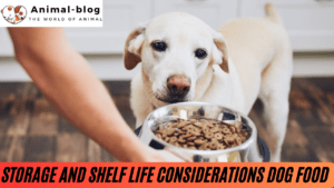 Storage and Shelf Life Considerations