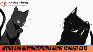 Myths and Misconceptions About Yandere Cats
