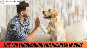 Tips for Encouraging Friendliness in Dogs