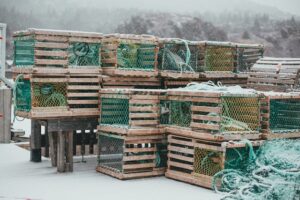 Importance of Choosing the Right Ice Fishing Basket